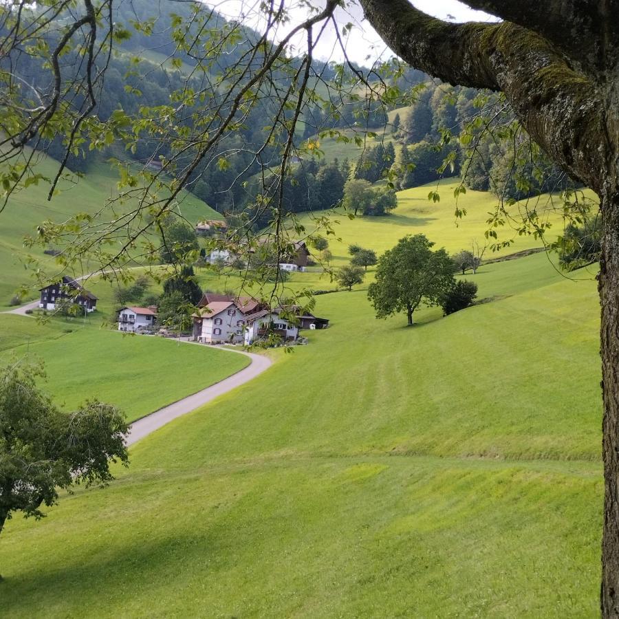 Dom Wiejski Artur Goldingen Exterior foto
